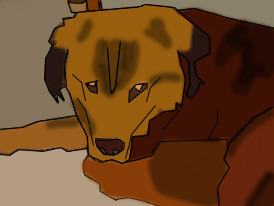 High school Collection