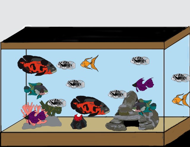 Fish tank